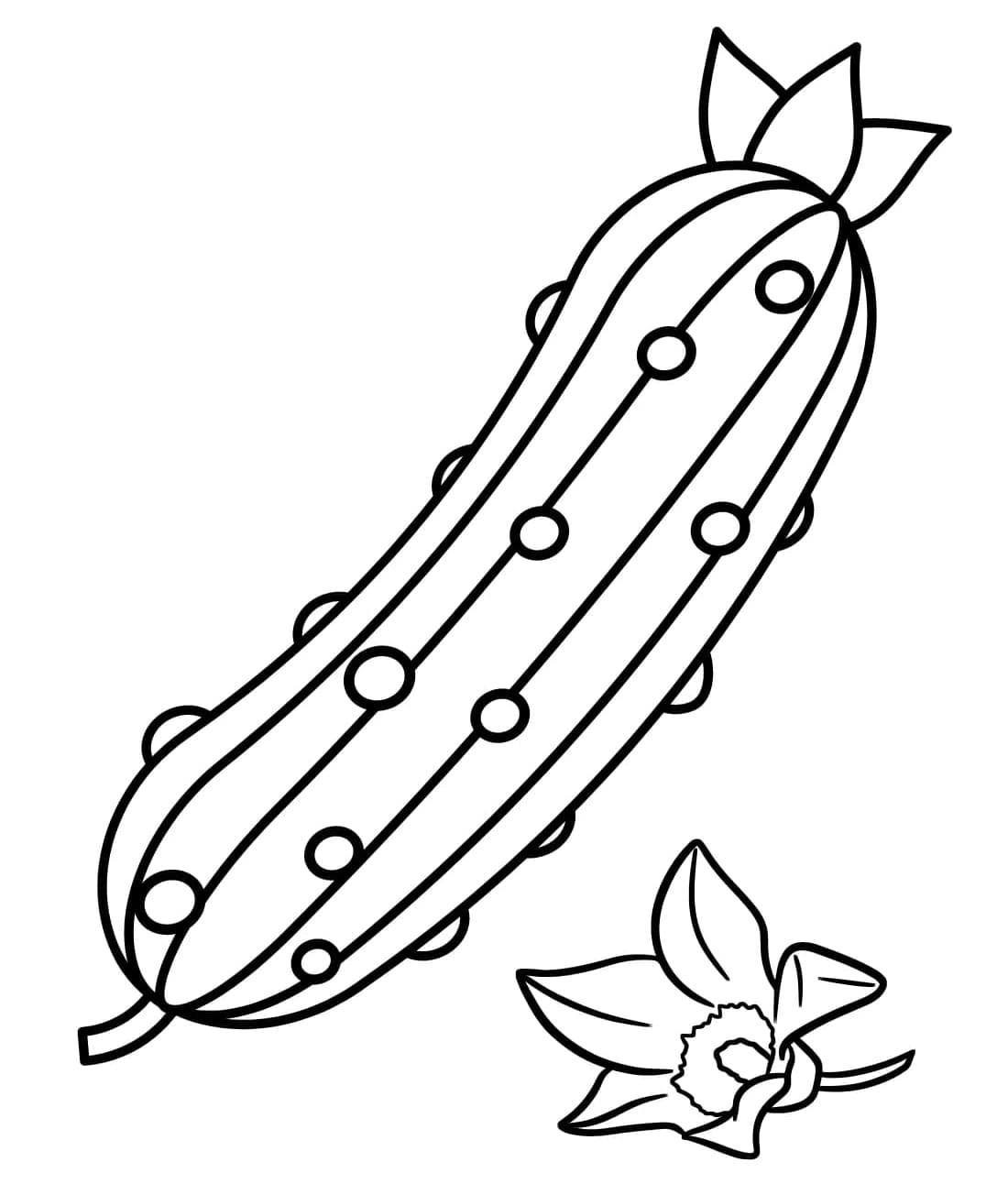 ζωγραφική Εικόνες Αγγούρι δωρεάν