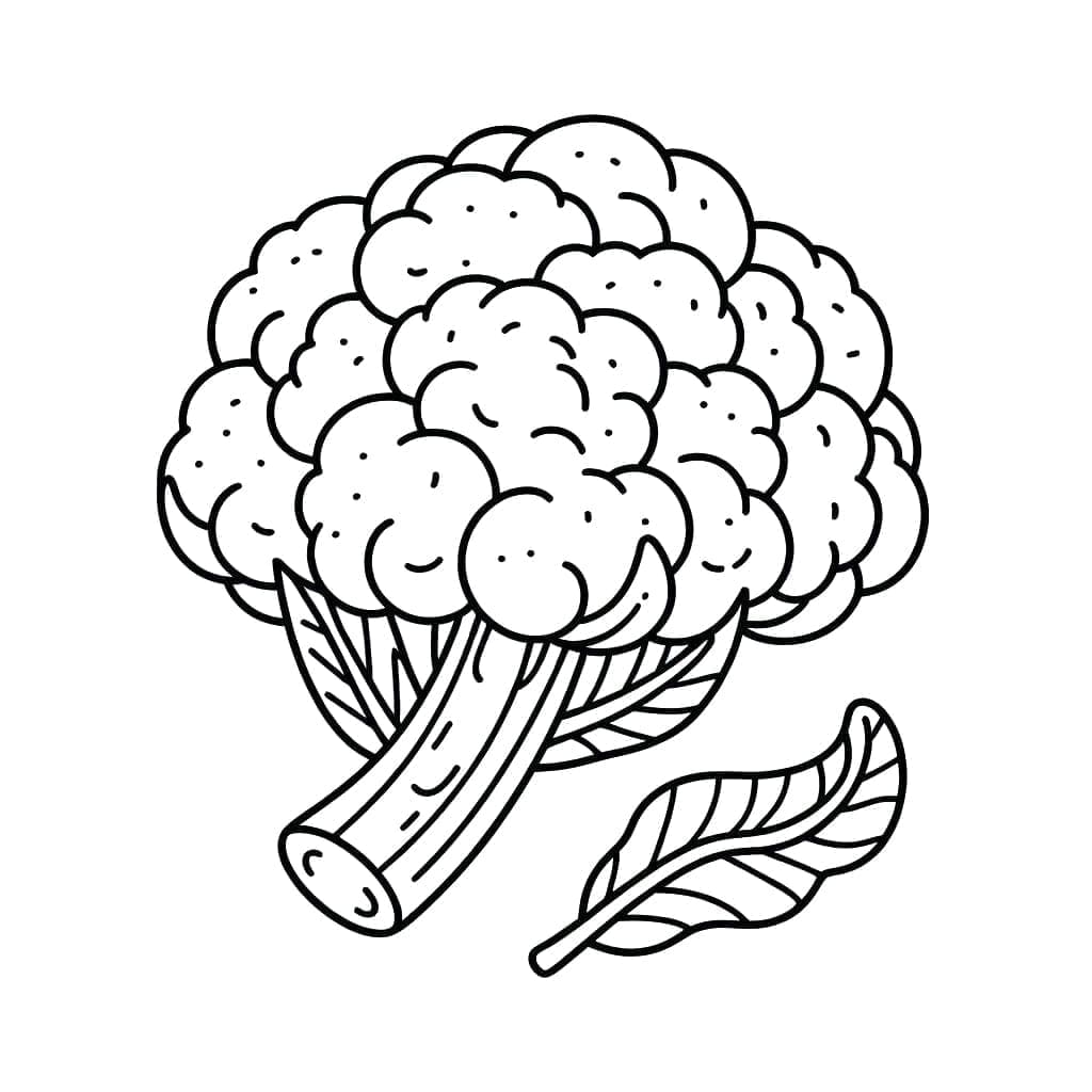 ζωγραφική Κουνουπίδι και φύλλα