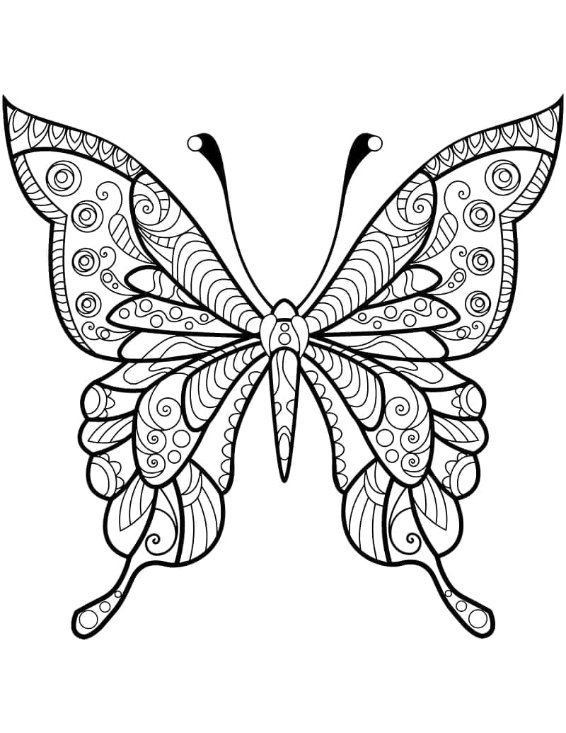 ζωγραφική Πεταλούδα Ζεντάνγκλ