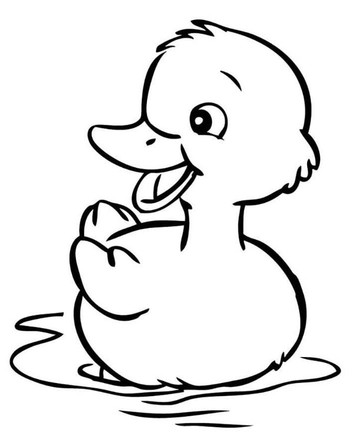 ζωγραφική Χωρίς πάπια