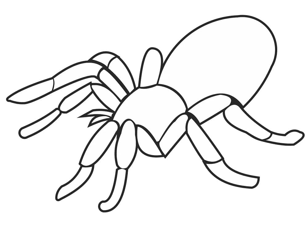 ζωγραφική Εύκολη αράχνη