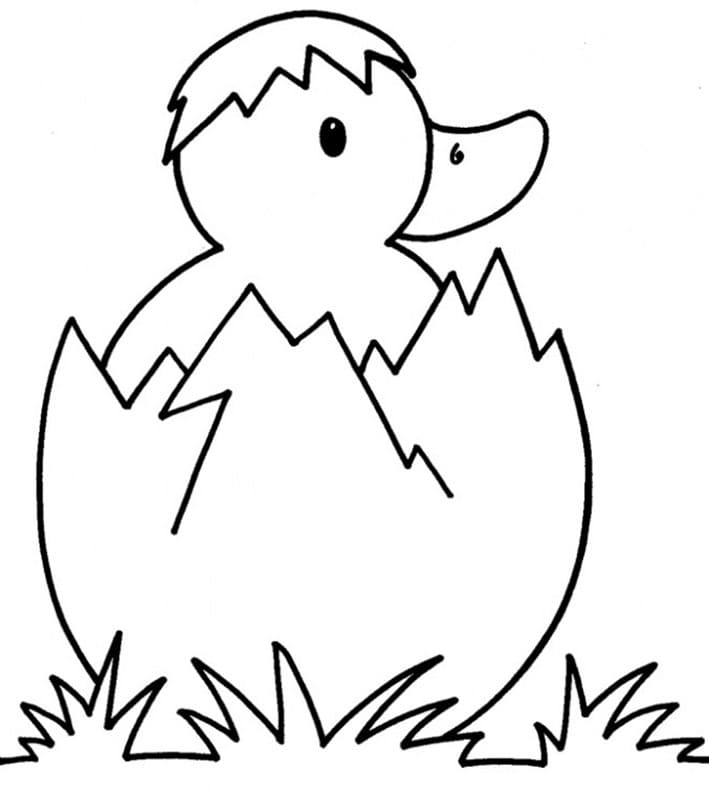 ζωγραφική Νεογέννητο παπάκι