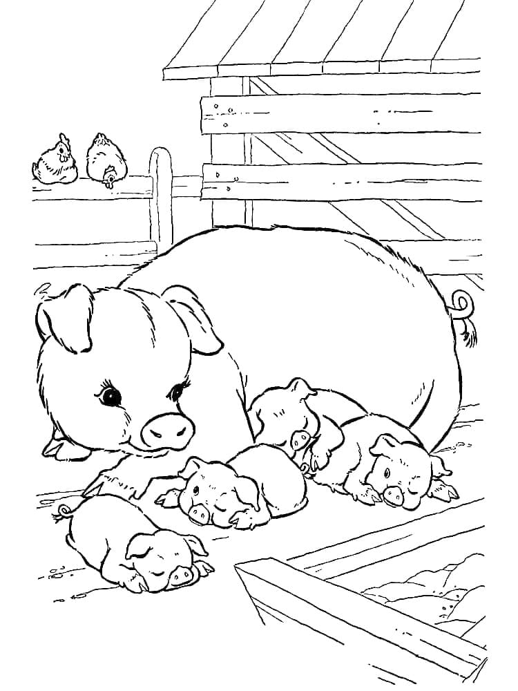 ζωγραφική Εκτυπώσιμα αγροκτήματα χοίρων