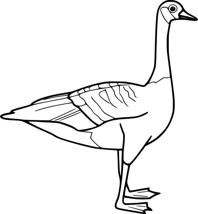 ζωγραφική Απλή χήνα κινουμένων σχεδίων