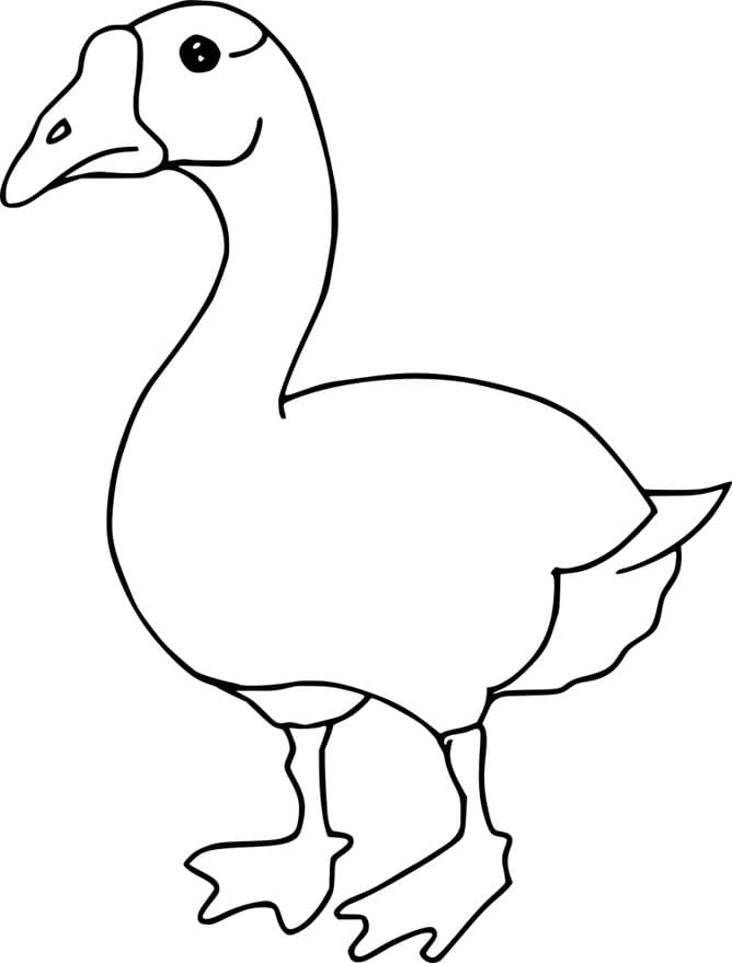 ζωγραφική Απλή Χήνα