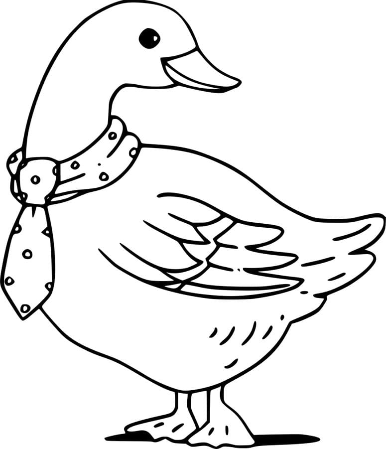 ζωγραφική Χήνα με γραβάτα