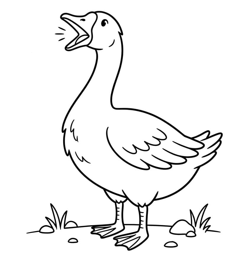 ζωγραφική Χήνα που Φωνάζει