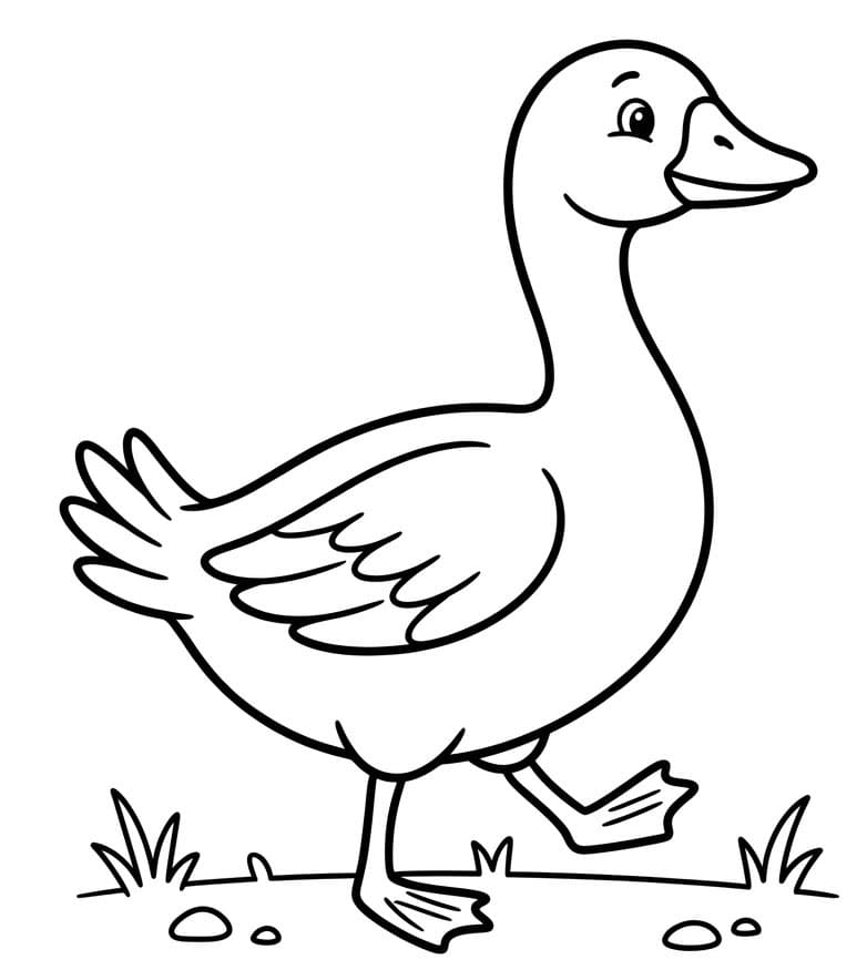 ζωγραφική Χήνα σε Περίπατο