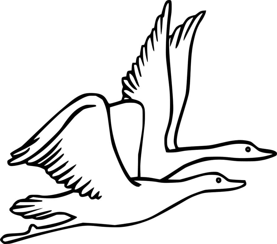 ζωγραφική Δύο Ιπτάμενες Χήνες