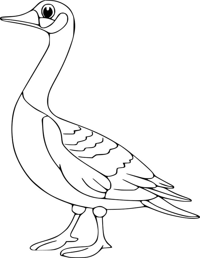 ζωγραφική Εύκολη χήνα κινουμένων σχεδίων