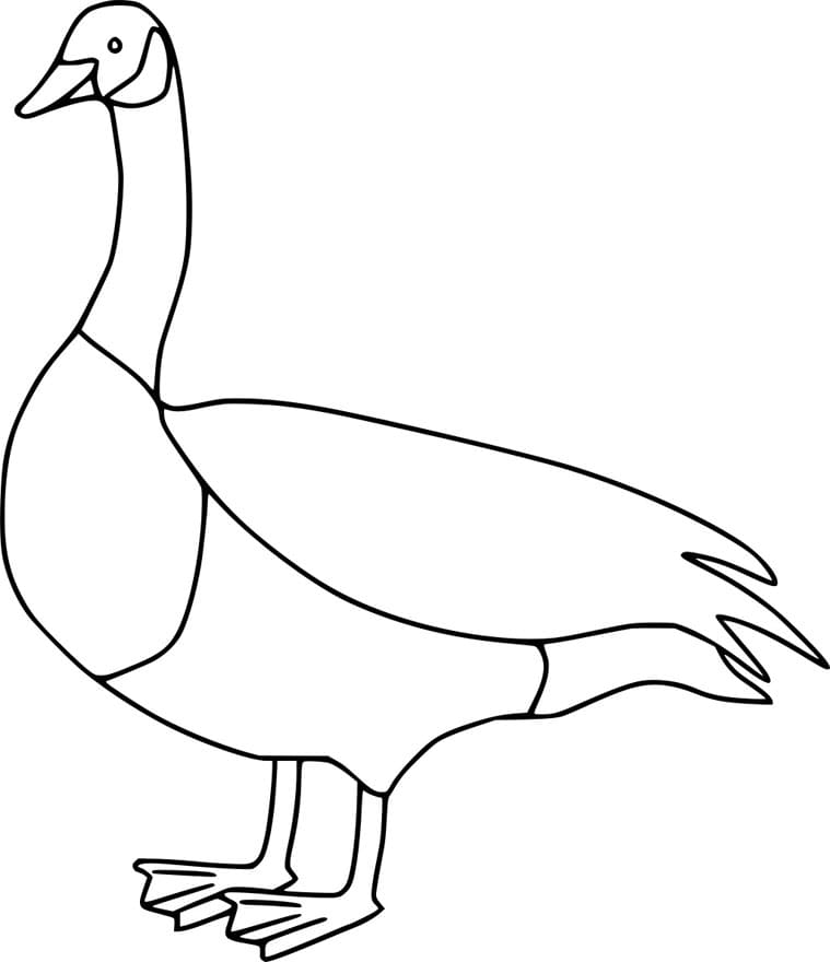 ζωγραφική Εύκολη Καναδική Χήνα