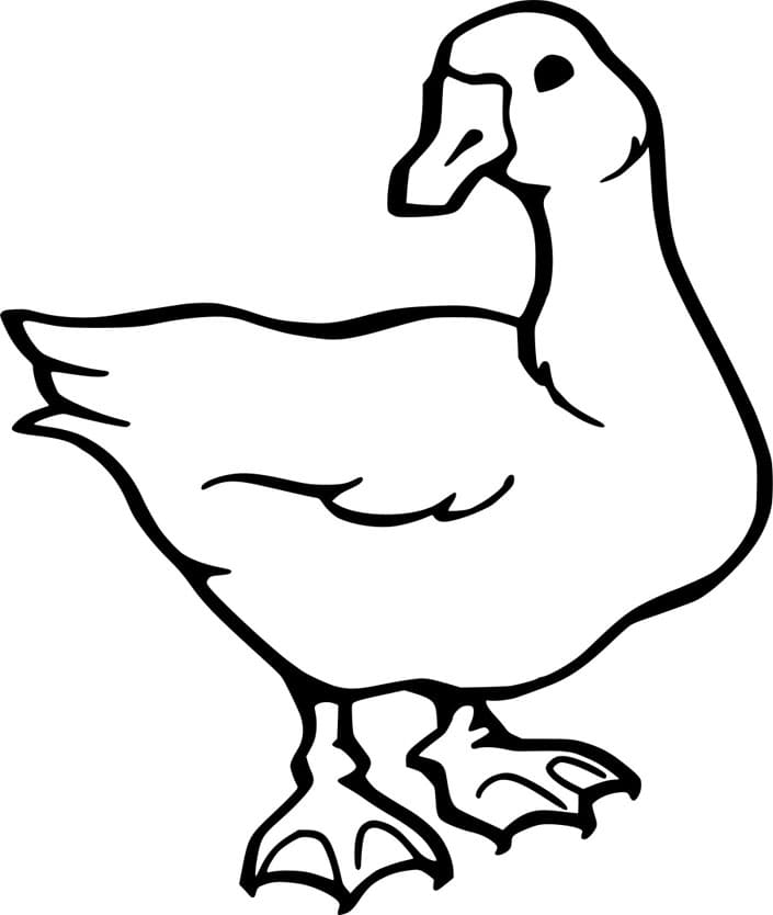 ζωγραφική Εύκολη κοινή χήνα