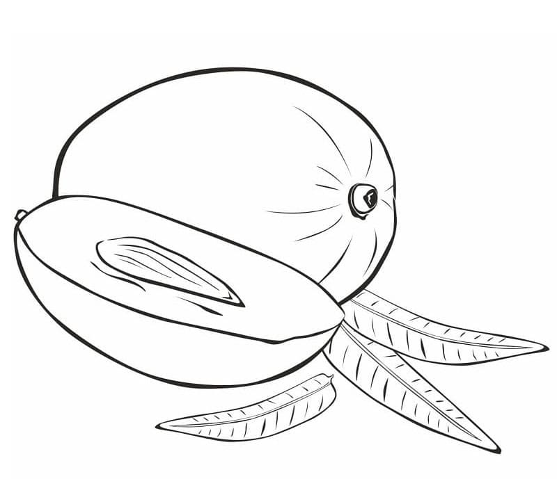 ζωγραφική Εκτύπωση Μάνγκο