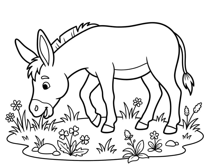 ζωγραφική Γαϊδουράκι που τρώει