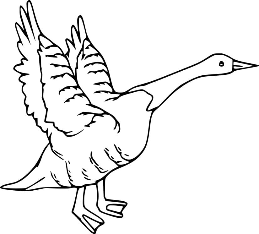 ζωγραφική Η χήνα απογειώνεται