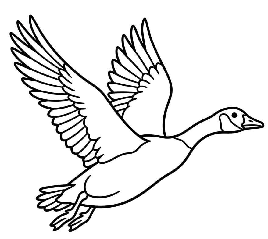 ζωγραφική Ιπτάμενη Χήνα