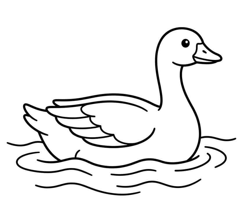 ζωγραφική Ήρεμη Χήνα στο Νερό