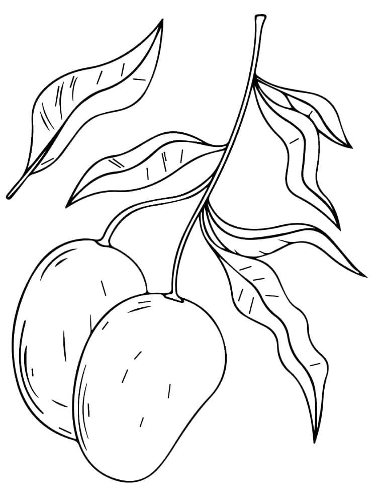 ζωγραφική Μάνγκο και φύλλα