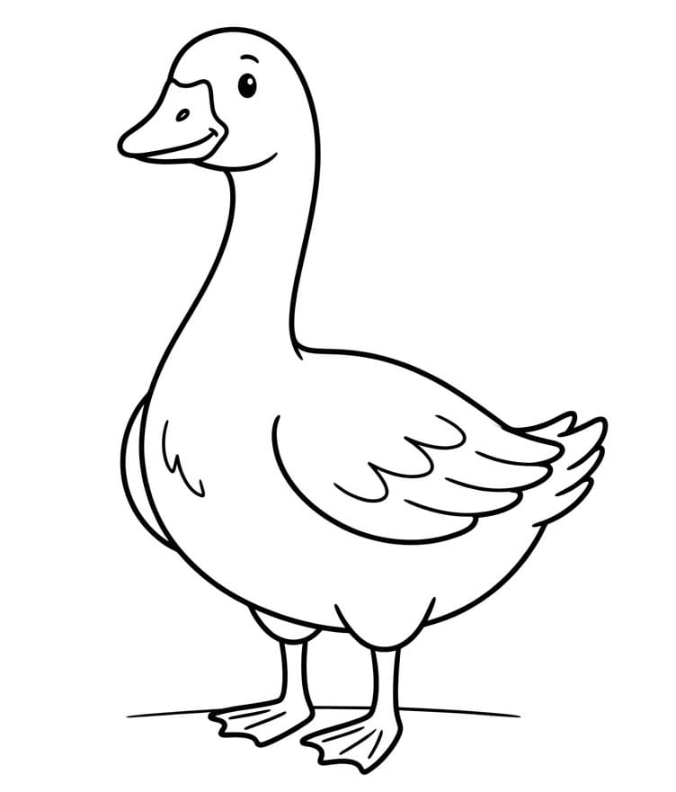 ζωγραφιεσ Χήνα