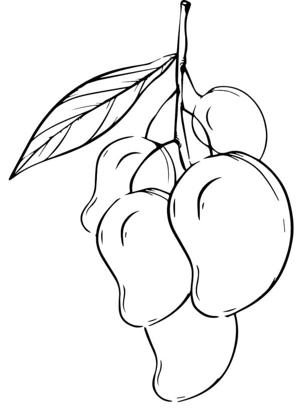 ζωγραφική Πολλά Μάνγκο