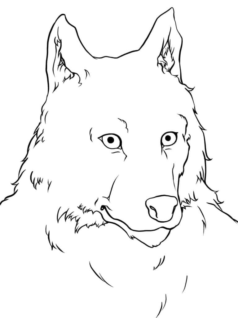 ζωγραφική Πρόσωπο Λυκάνθρωπου