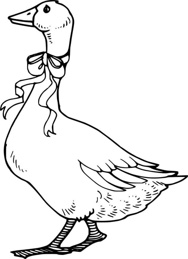 ζωγραφική Ρεαλιστική χήνα με φιόγκο